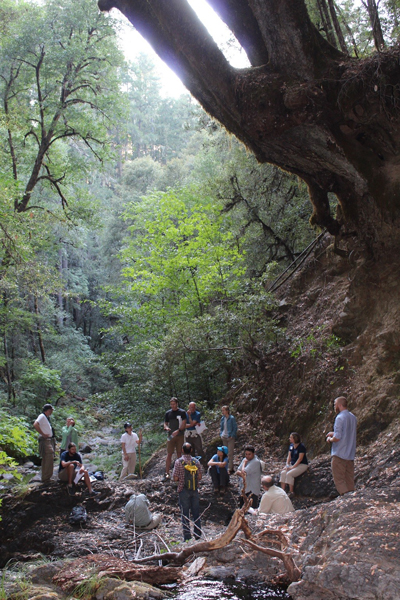 Scientists in a forest at Eel River, CA