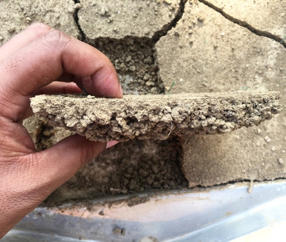 Hand holding half to one-inch thick section of hard soil