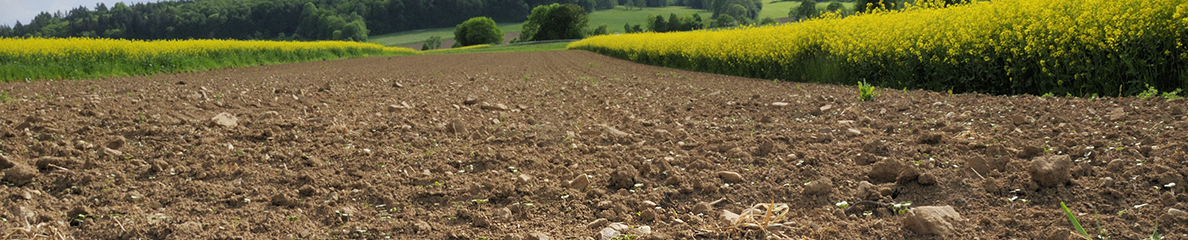 What are alluvial soils? – Soils Matter, Get the Scoop!