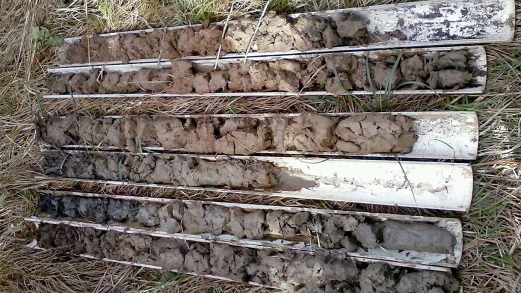 several open tubes of soil cores showing different colors of soil collected