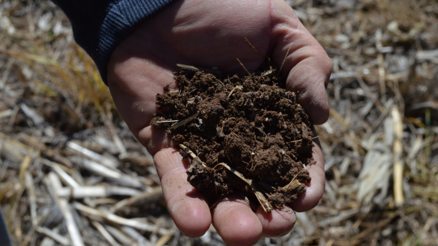 How do soils and humans impact one another?