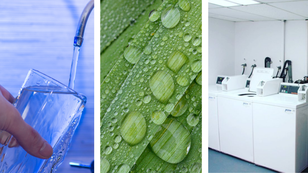 three vertical photos side by side showing examples of blue, green, and grey water: filling up glass cup with water, water droplets on leaf, and laundry machines