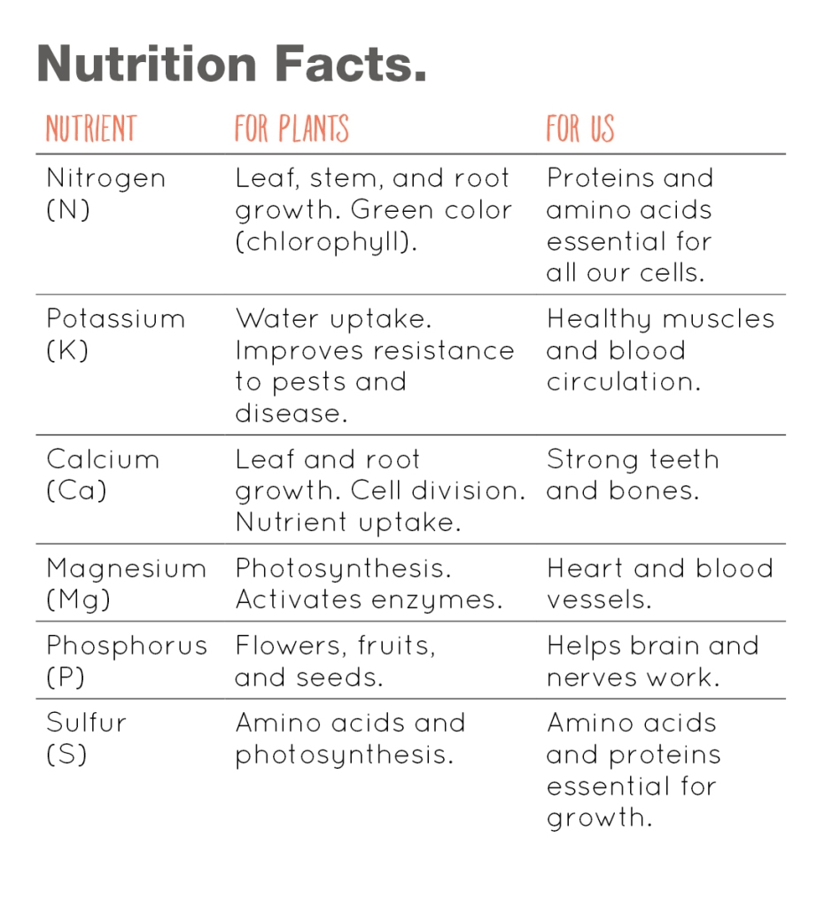una lista de nutrientes comunes y lo que hacen por las plantas y los humanos