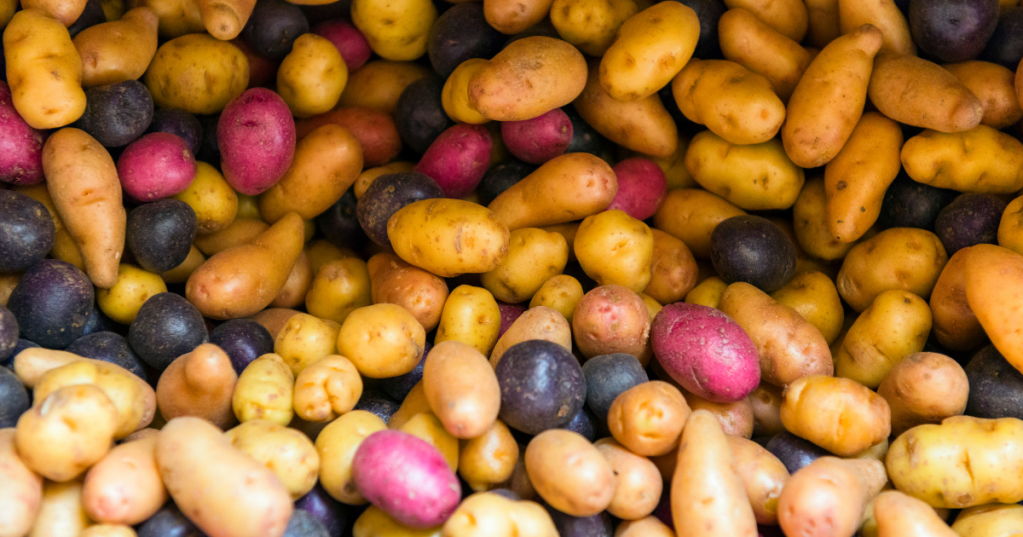 hundreds of potatoes
