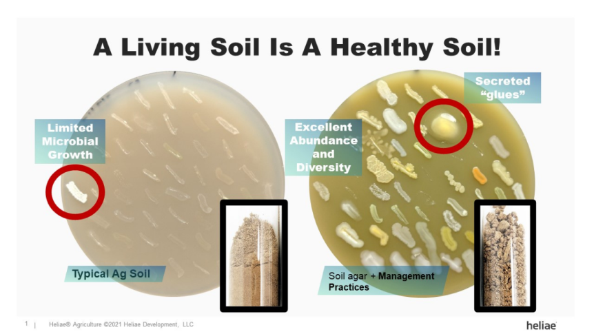 What is the current research about soil additions to help soil biology?
