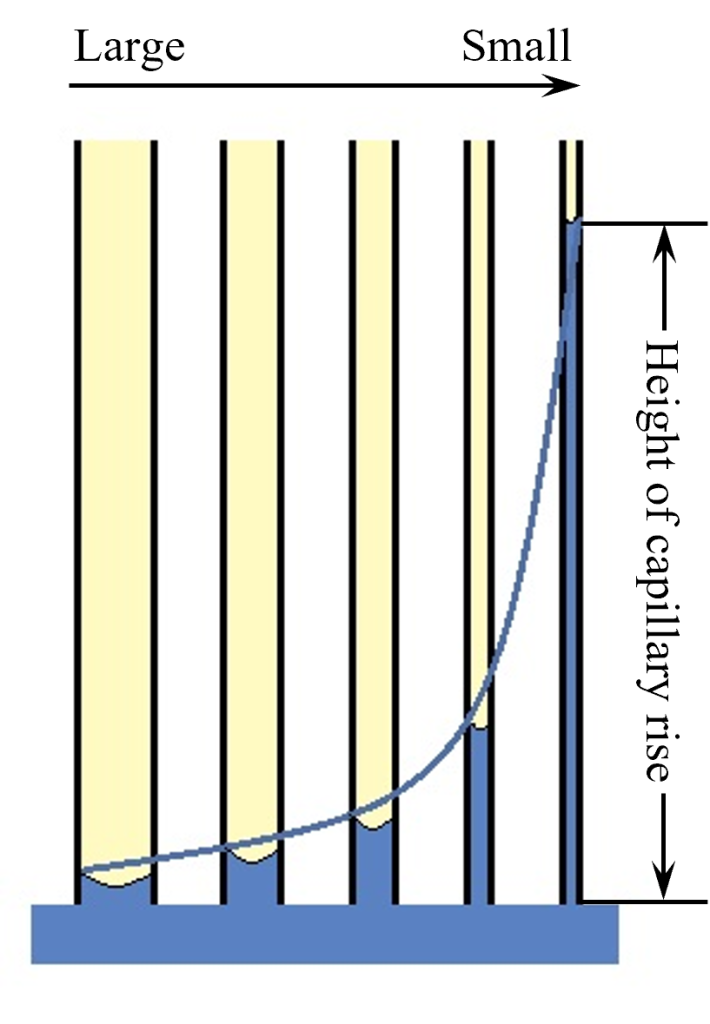 El gráfico muestra la cantidad de agua que ascenderá hacia el suelo con poros grandes a través de la acción capilar.